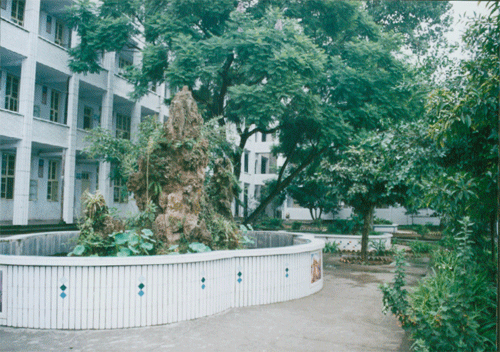 內(nèi)江十三中地址在哪？