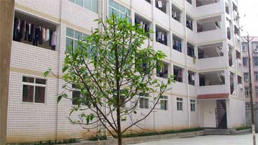威遠自強中學是民辦還是公辦學校？