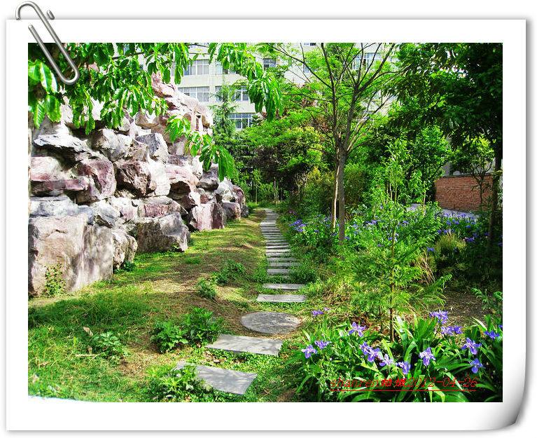 甘洛中學(xué)地址在哪里？