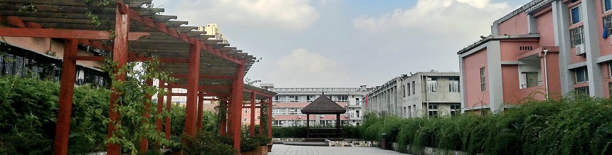 成都市通錦中學(xué)2019年中考分?jǐn)?shù)線是多少？