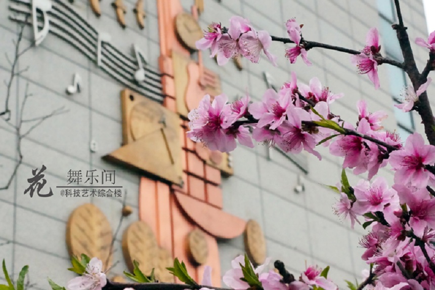 石室天府中學(xué)環(huán)境好不好、怎么樣？