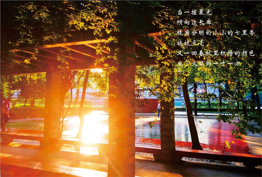 成都七中高新校區(qū)2019年中考分?jǐn)?shù)線是多少？
