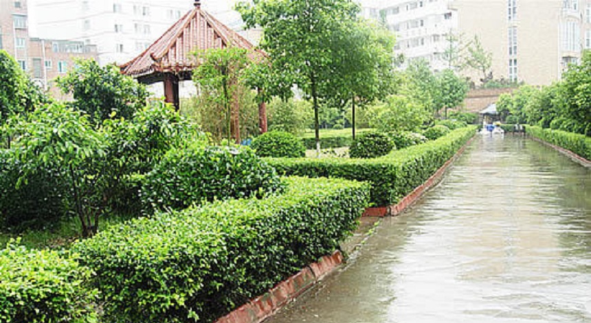 華興中學(xué)環(huán)境好不好？