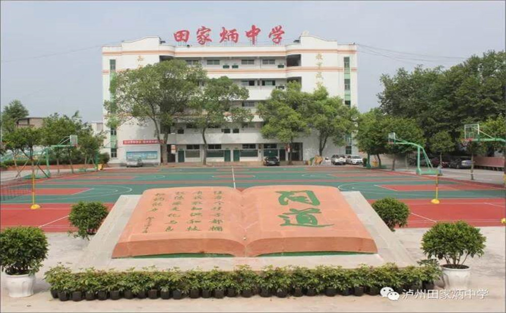 瀘洲市田家炳中學(xué)是公辦學(xué)校嗎？