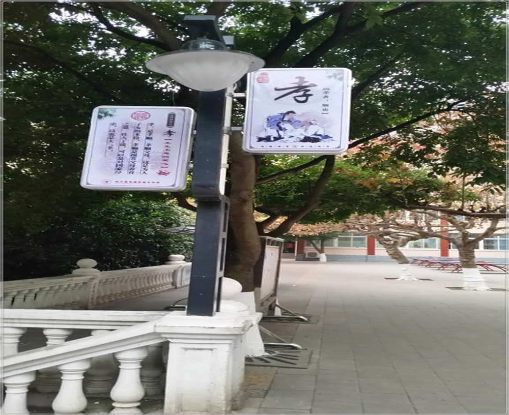 蒼溪實驗中學2020年的招生簡章發(fā)布了嗎？