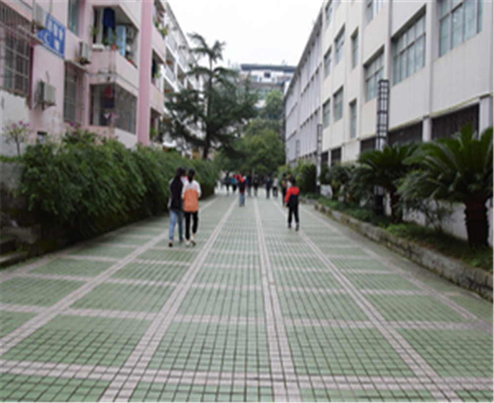 歧坪中學(xué)2020年的錄取分數(shù)是多少？