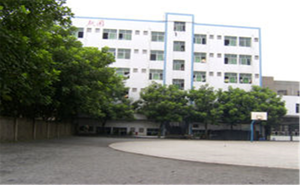 資中縣第三中學(xué)學(xué)校環(huán)境怎么樣？