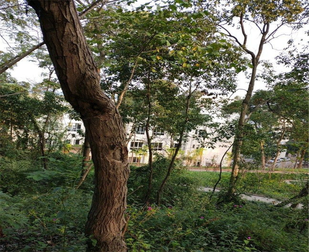蒲家中學(xué)的詳細(xì)地址在什么地方？