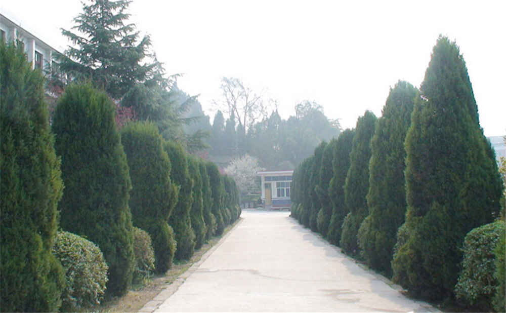 建興中學(xué)學(xué)校環(huán)境怎么樣？