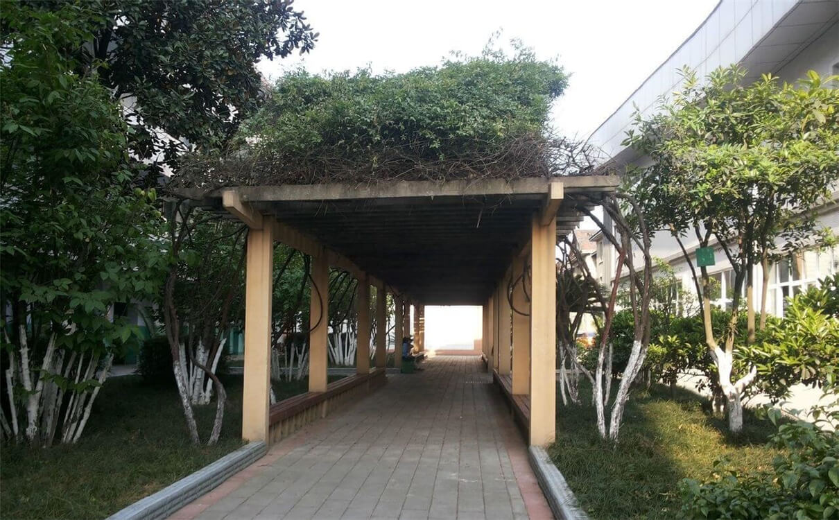 通錦中學(xué)的高中怎么樣？