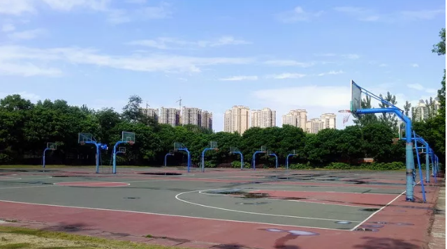 成都實(shí)驗(yàn)外國(guó)語(yǔ)學(xué)校的本科升學(xué)率是多少？