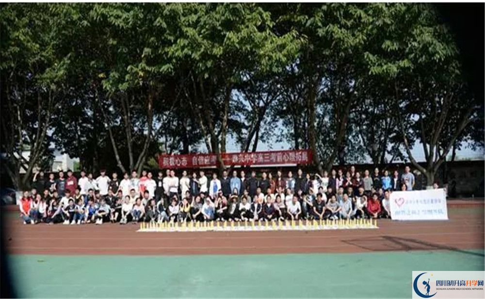 新都泰興中學的分數(shù)線大概是多少？