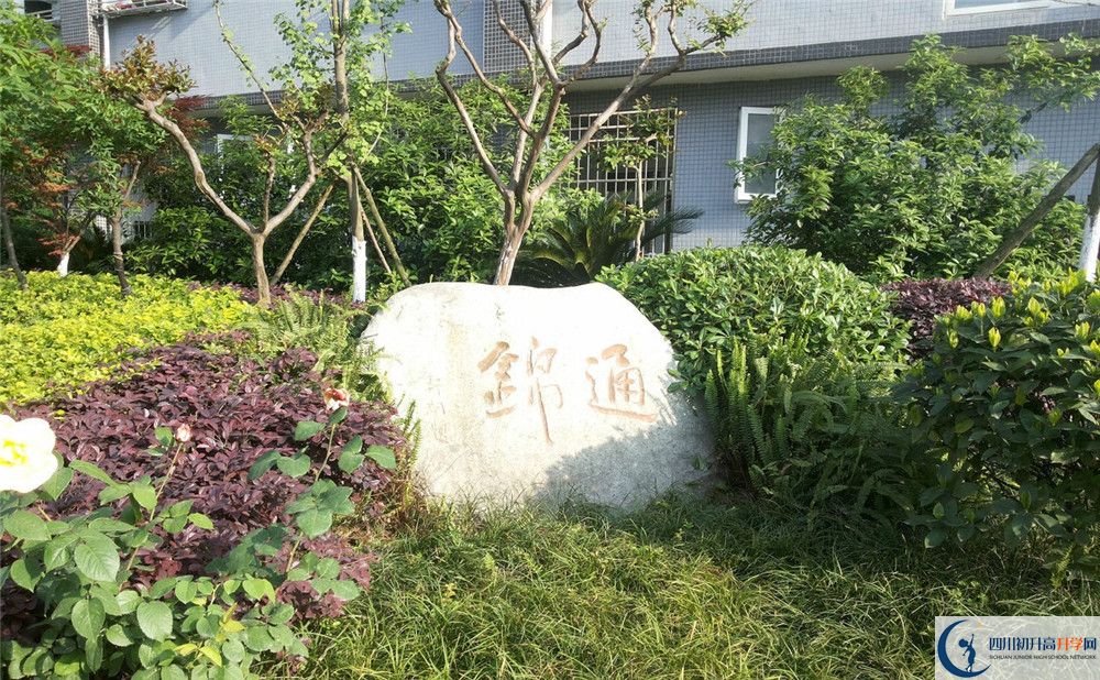 通錦中學高一多久放一次假？