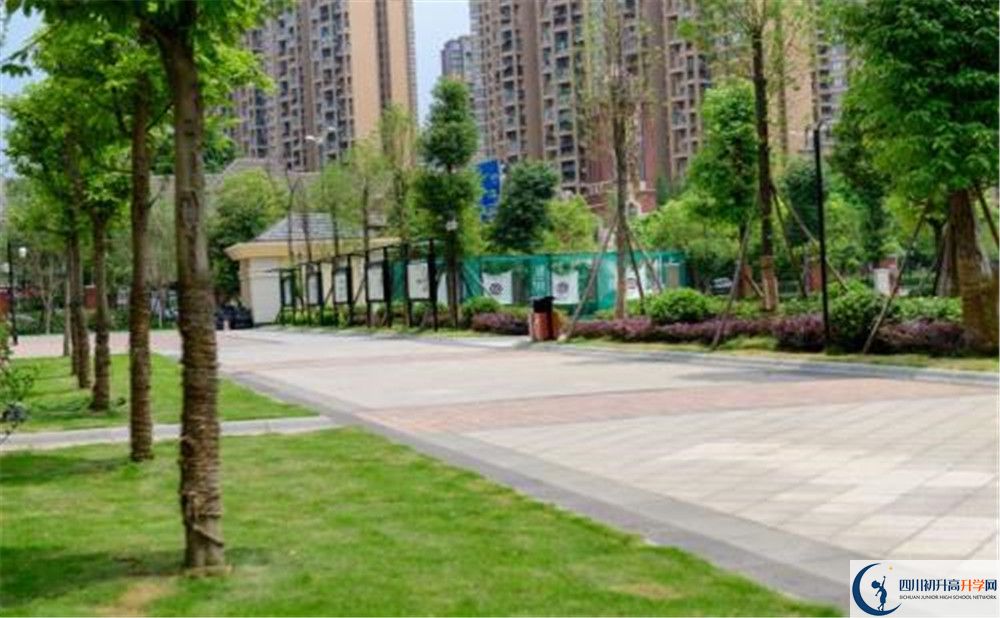 成都教科院附屬學校2020年清華北大錄取學生有多少？