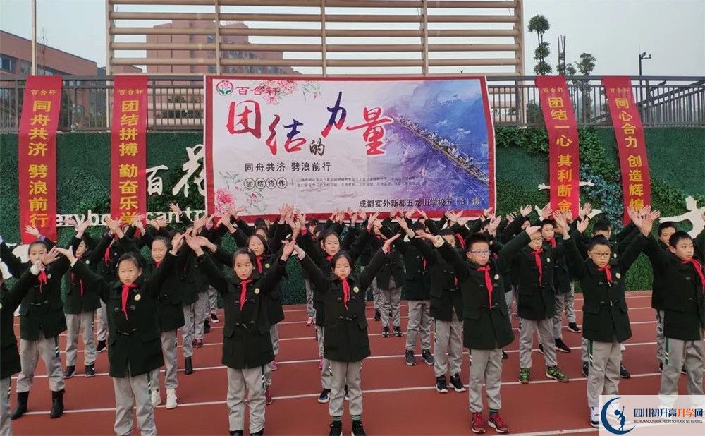 成都實外新都五龍山學校2020清華北大錄取學生是多少？