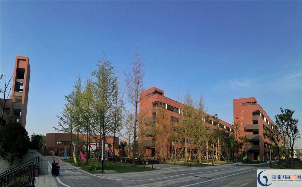 電子科技大學(xué)實(shí)驗(yàn)中學(xué)2020年清華北大錄取學(xué)生有多少？