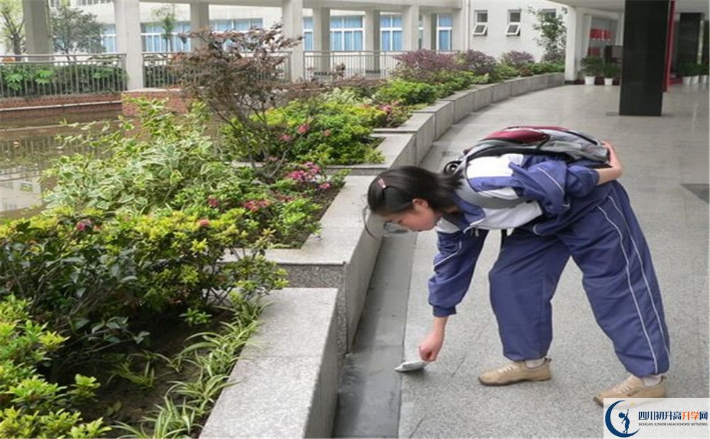 成都市龍泉中學(xué)初升高向外地招生嗎？
