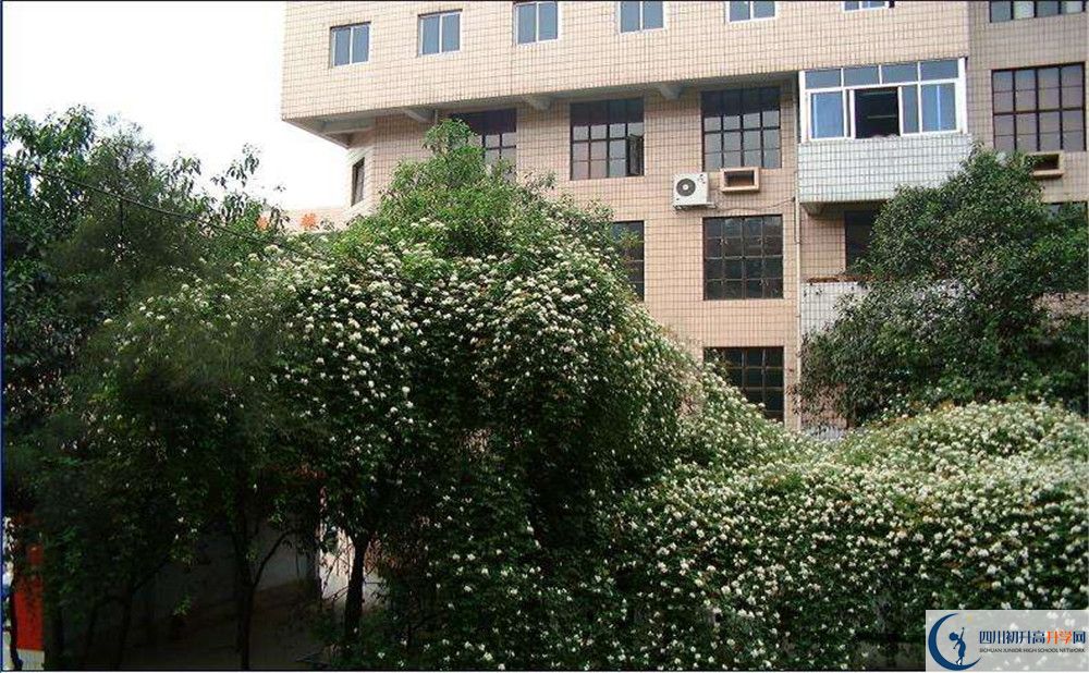 石室聯(lián)合中學(xué)蜀華分校平行班與實(shí)驗(yàn)班差多少？