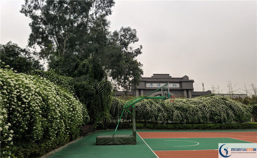 四川師范大學(xué)實(shí)驗(yàn)外國(guó)語(yǔ)學(xué)校2020年全國(guó)排名？