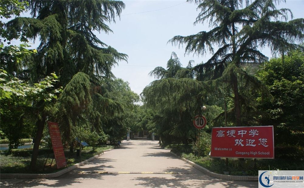 2020高埂中學(xué)高考重點(diǎn)大學(xué)升學(xué)率是多少？