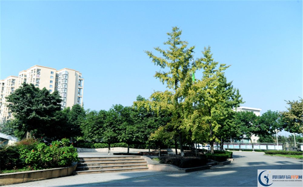 2020成都棠湖外國(guó)語(yǔ)學(xué)校期末試卷數(shù)學(xué)在哪里看？