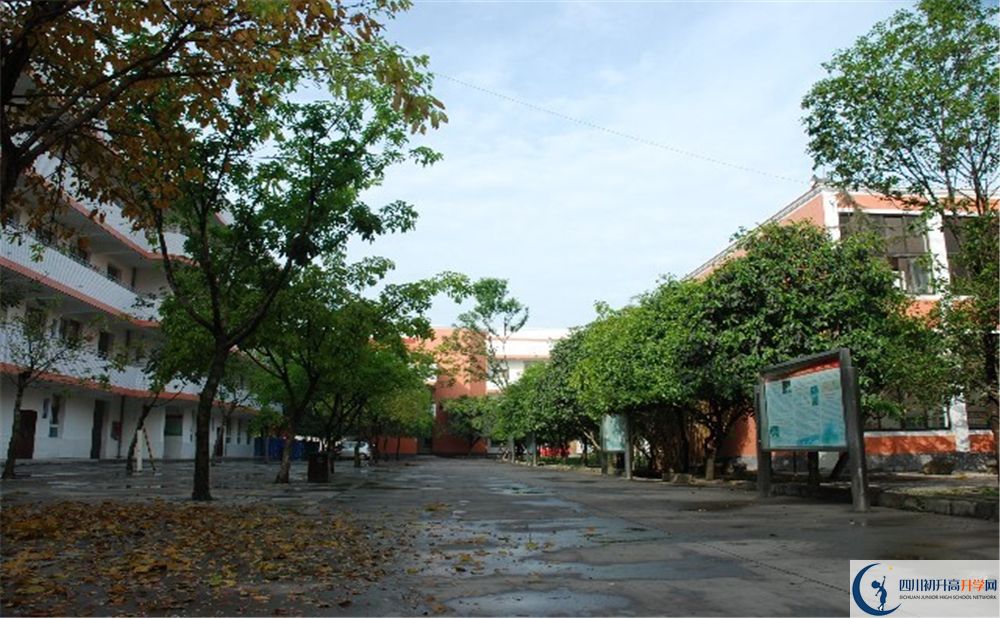 大邑中學(xué)平行班中考重點率是多少？