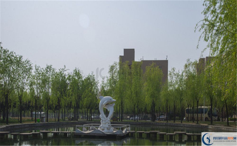 2020年廣安市中考報(bào)名有什么條件？