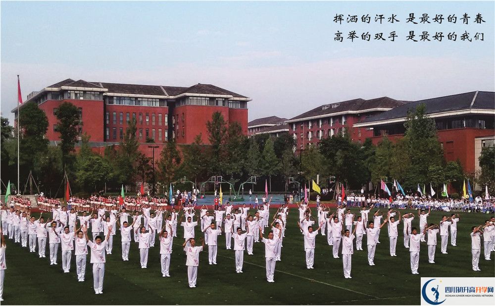 七中高新校區(qū)2020年中考重點(diǎn)率多少？