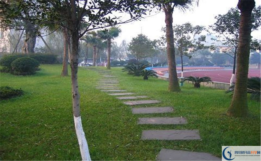石室佳興外國(guó)語(yǔ)學(xué)校2020年是幾類？